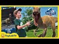 Jurassic World Alive Dinosaur Hunting! Family Fun Adventure Game with Giant Life Size Dinosaurs