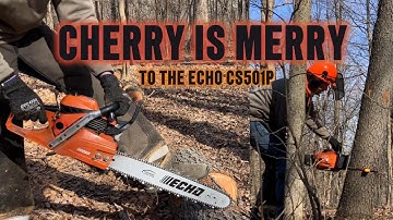 Echo CS501P Cutting Cherry Firewood