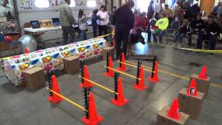 CVFD Open House 2011 Rescue Dogs