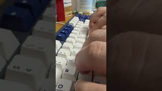 cycle8 클래키빌드(노폼,알루보강,순정스테빌,아이스민트축)