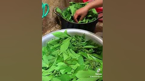 Hướng dẫn nấu sơ chế Lá Khoai Mỳ (Lá Sắn) xài tỏi ớt | VietNam Food |