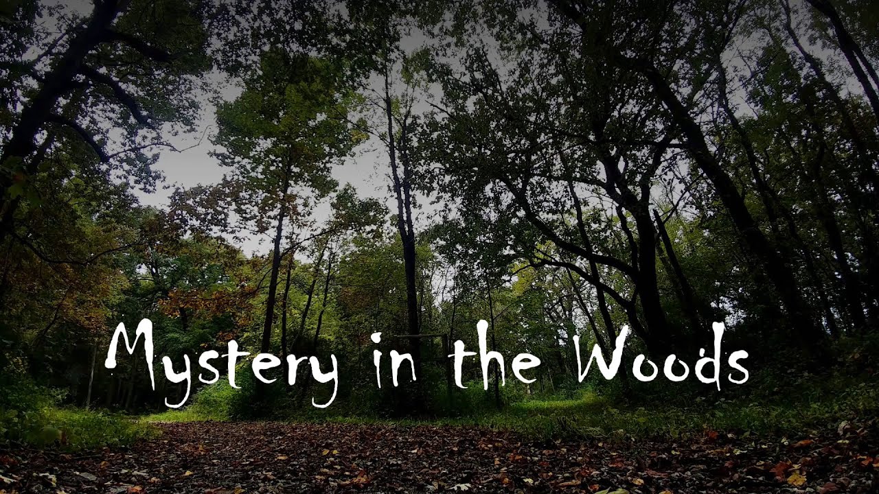Mystery in the Woods
