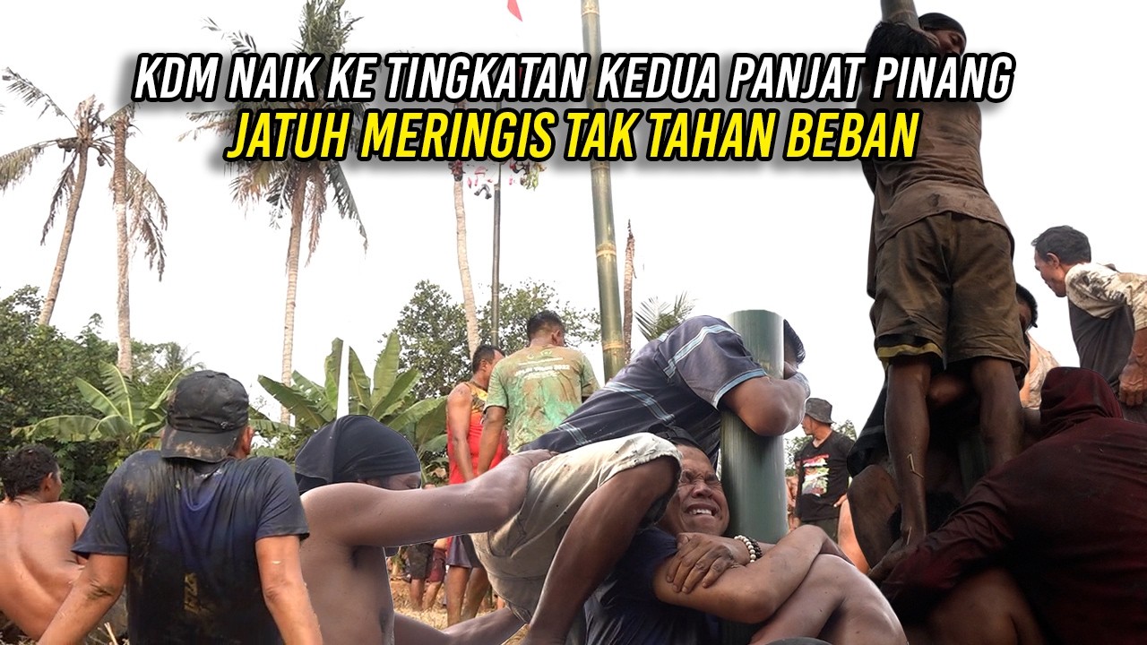 KDM NAIK KE TINGKATAN KEDUA PANJAT PINANG | JATUH MERINGIS TAK TAHAN BEBAN