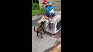 Crazy Way To Predict Your Puppy's Weight When Full Grown