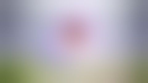 How to hack TOKENS in FUT DRAFT 18 BY PACYBITS | REY