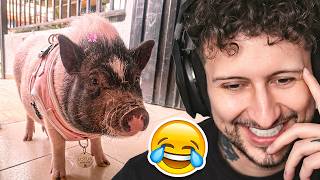 Reaccionando a las HORRIBLES MASCOTAS de mis SEGUIDORES 😂 | Pelicanger