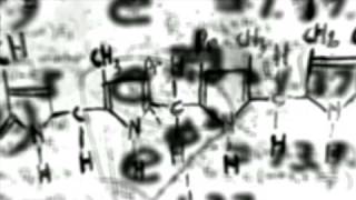 Winterfest 09 Promo1