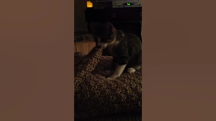 Lou nursing his blanket