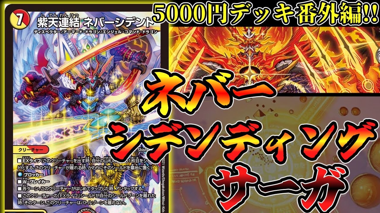 ネバシデルムのリーフレット