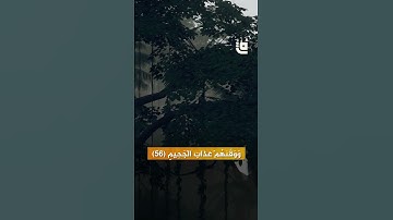 تلاوة هادئة لما تيسّر من سورة الدخان #قاف_التفاعلية