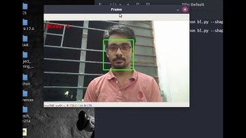 Eyeblink Detection and Drowsiness Alert for Driver