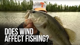 Does wind affect fishing?
