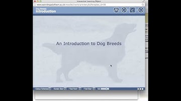 Xerte Title Page - 6 - Making a Background Image Transparent