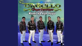 Video thumbnail of "Orgullo Guerrerense de Rogelio paz - Komi xa xun nuyu"