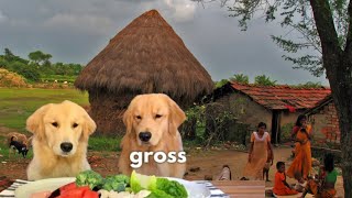 Dog reviews food with girlfriend |taste test