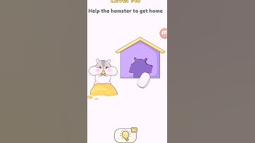dop 2 level 148 help the hamster to get home