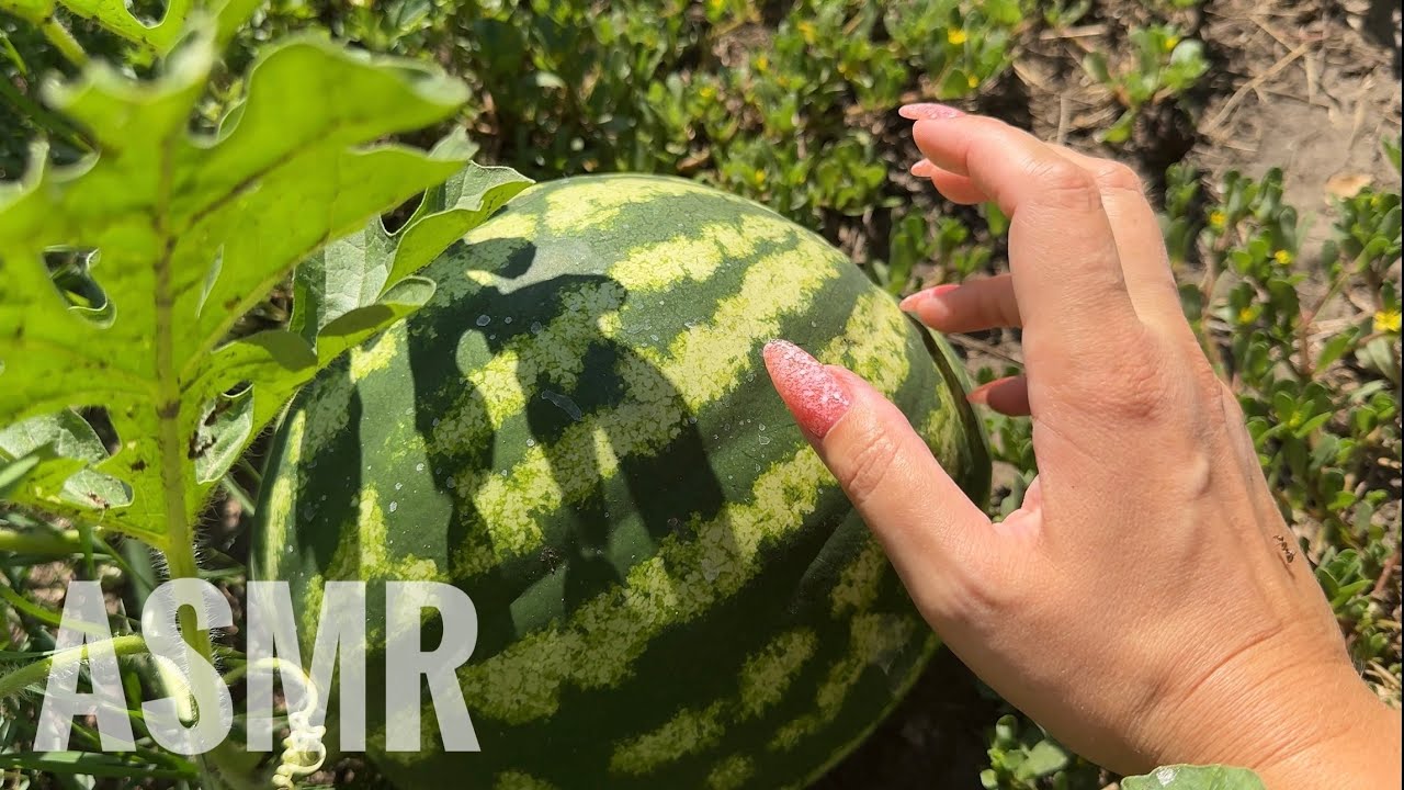 ASMR 100 TRIGGERS Outside 😴 Tapping & Scratching No Talking