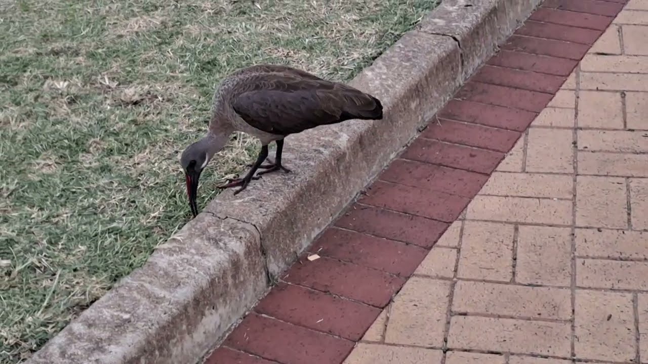 Маленькие моменты создают счастливые воспоминания!