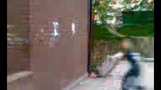 monkey backflip od sciany