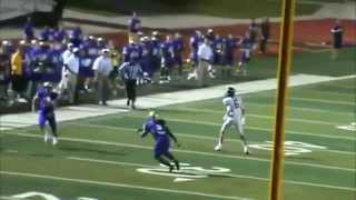 Casey Davis-Texas Lutheran University freshmen highlights