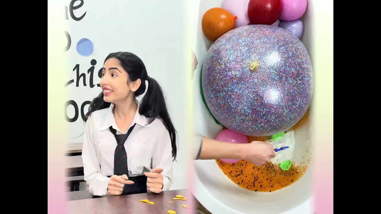 🤣👌👌👌2026 pov Must-Watch Crazy Clips Compilation 