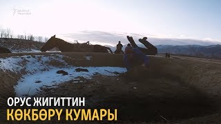 Орус жигиттин көкбөрү кумары Орус жигиттин көкбөрү кумары