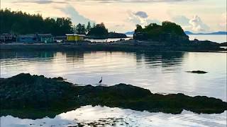 Twilight, Low Tide Tidemills Twilight