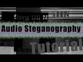 Audio Steganography: Hiding Images and Text in Sound