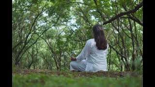 Return to Wholeness - The Art of Inner Healing #Shorts #IncredibleSouls