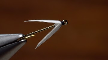Biot Basics - Biot Horns or Wings