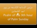   9    الساعه التاسعه من احد الشعانين