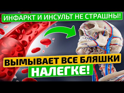 Тибетский врач: Всего стакан этого гриба избавит от следующих болезней... Тибетский кефирный гриб