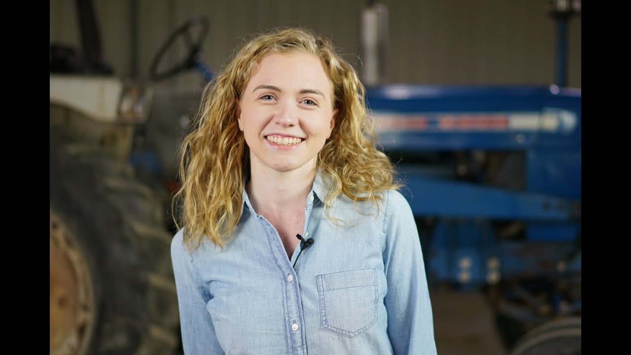 Ford 4000 Injector Pump Rebuild Kit