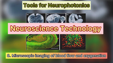 8. Tools for Neurophotonics: Microscopic imaging of blood flow and oxygenation
