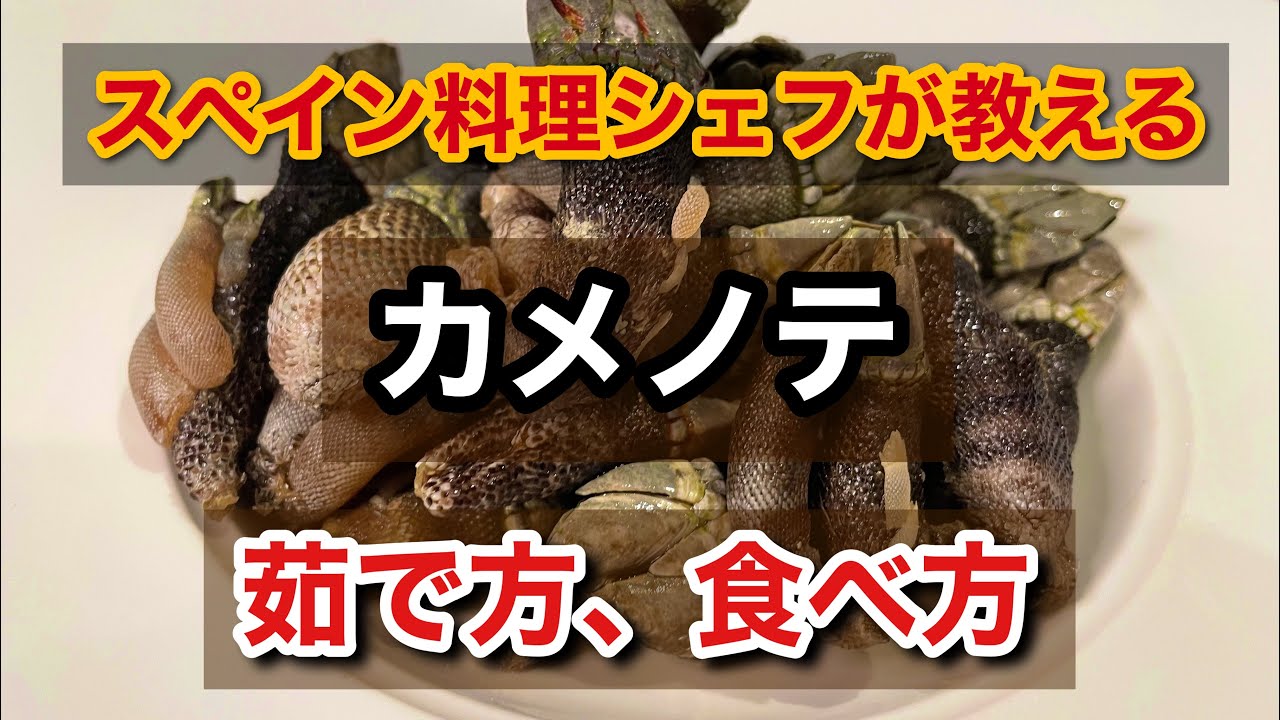 カメノテ スペインだと高級食材です おいしいから食べて Youtube カメノテ スペインだと高級食材です おいしいから食べて Youtube