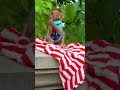 Adorable Little Monkey Moments,#short# babe #money# rose monkey# cute#