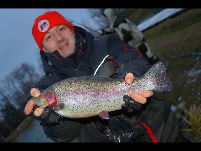 Заготавливаем форель. How much is the fish?!