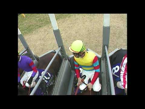 2002年フェブラリーステークス　アグネスデジタル