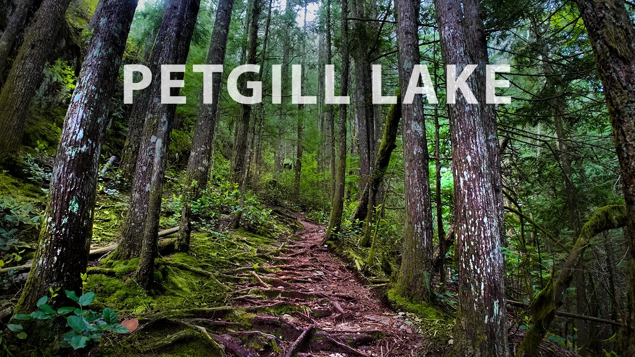 A Peaceful Hike to a Quiet Lake - Petgill Lake, Sea to Sky Corridor BC