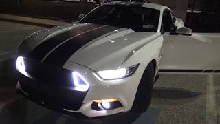 Can You Daily Drive Your Ecoboost Mustang?
