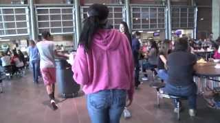 Cafeteria Rules - The Cougar Hunter