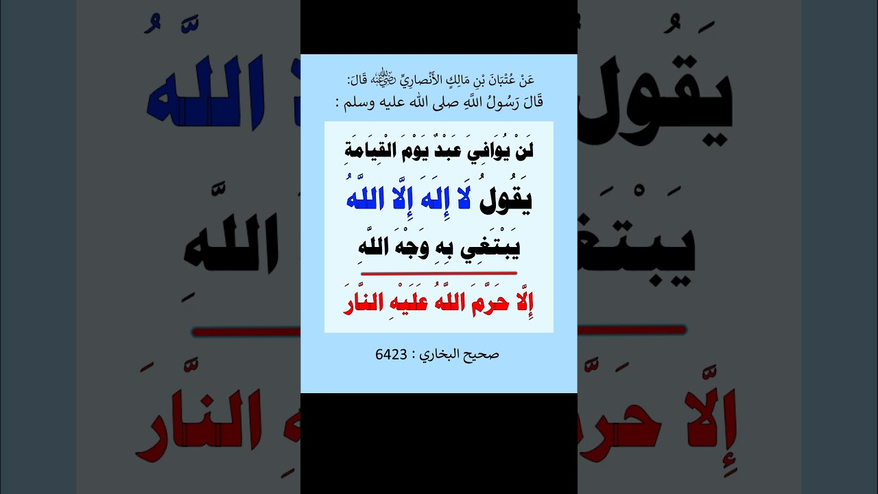 لن يوافي عبد يوم القيامة يقول لا إله إلا الله يبتغي به وجه الله - الشيخ عبد الرزاق البدر