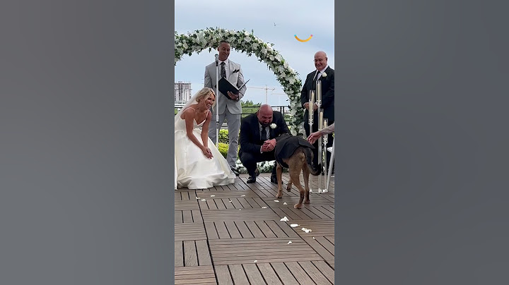 Groom tears up when bride brings his beloved dog to wedding after family couldn't make it #shorts