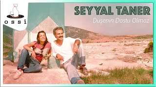 Seyyal Taner - Düşenin Dostu Olmaz