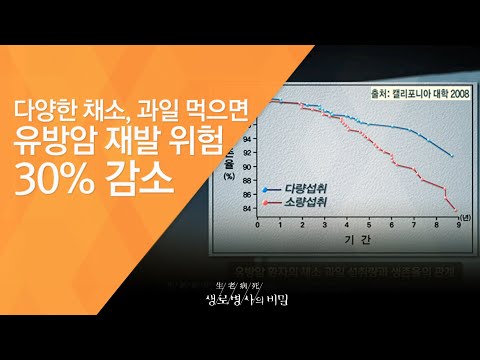 다양한 채소, 과일 먹으면 유방암 재발 위험 30% 감소 - (2010.2.25_323회 방송)_2010, 新항암식품사전 - 2편 채소와 과일