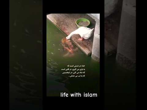 کمک مسلمان اسلامی    دین اسلام قرآن الله