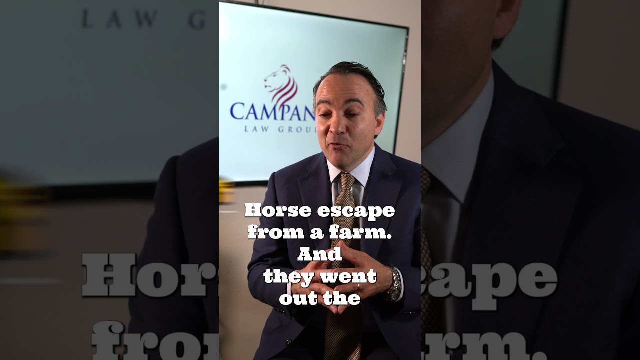 Campano Stories: Great Horse Escape