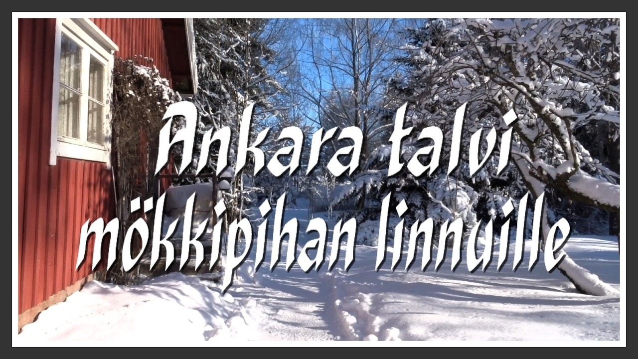 Ankara talvi mökkipihan linnuille