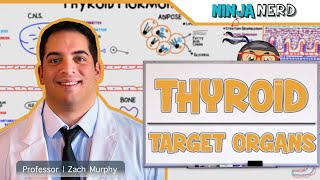 Endocrinology | Target Organs of the Thyroid screenshot 4