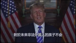 #川普  #取消 #非法移民 #美國出生公民權【Echo走遍美国】 【Echo&#39;s happy life】 【Echo的幸福生活】